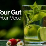 Heal The Gut