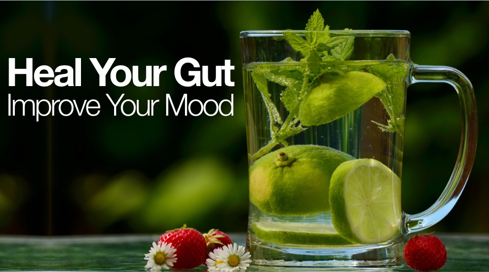 Heal The Gut