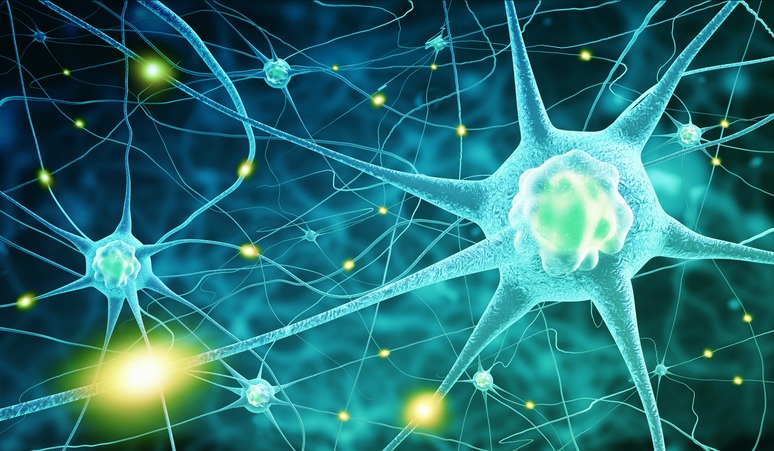 nerve cells neurotransmitters